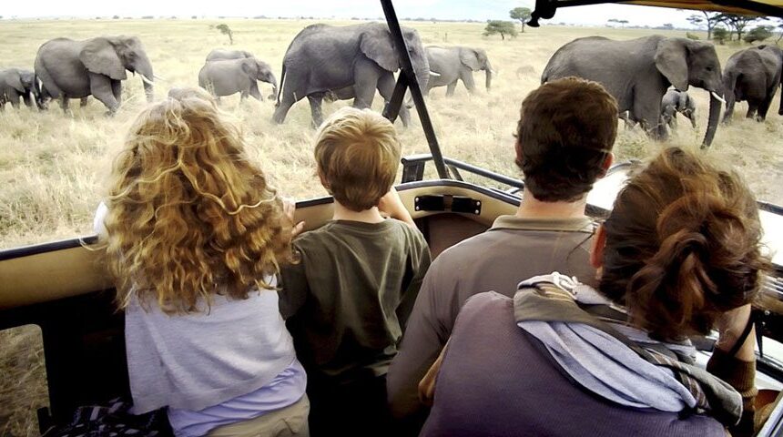 Best Family Safari Destinations in Tanzania: Unforgettable Adventures for All Ages 2025