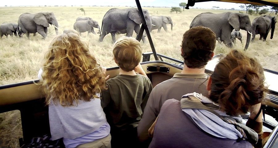 best-family-safari-destinations-tanzania